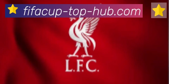 FIFA世界杯资讯官方网站合作伙伴