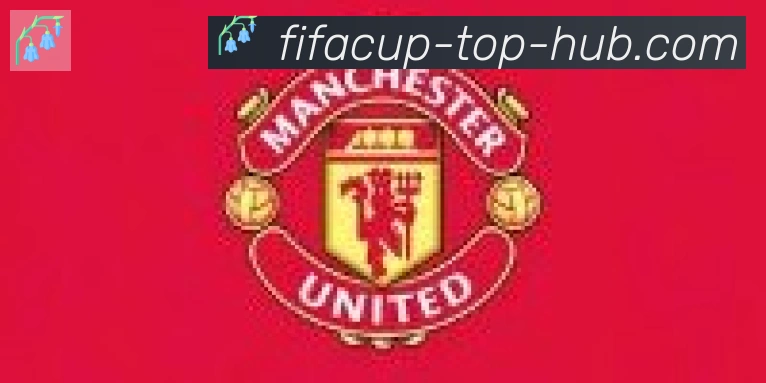 FIFA世界杯资讯官方网站合作伙伴